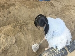 QQ图片20250429150708(48)